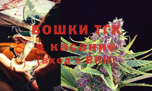 стафф Покачи