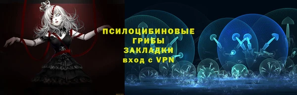 стафф Покачи