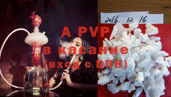 стафф Покачи