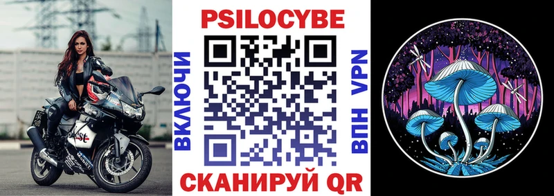 KRAKEN tor  Ялта  Псилоцибиновые грибы Psilocybine cubensis  где найти  