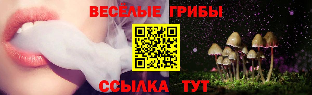 Псилоцибиновые грибы MAGIC MUSHROOMS  Вход с VPN  Ялта 